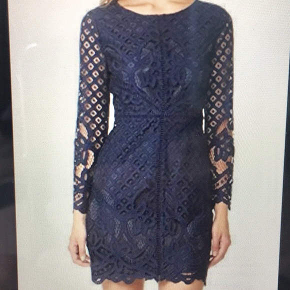 cupcakes & cashmere | Dresses | Cupcakes And Cashmere Long Sleeve Lace Dress  | Poshmark